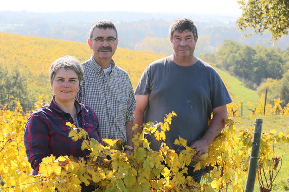 Domaine Les Grandes Vignes