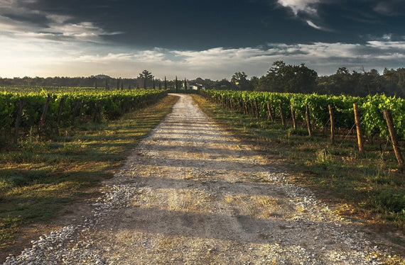 Weingut Les Pierres Ecrites