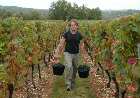 Weingut Les Roques de Cana