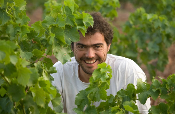 Weingut Olivier Pithon