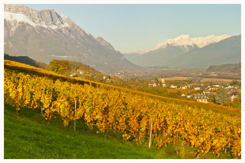 Domaine Philippe Grisard