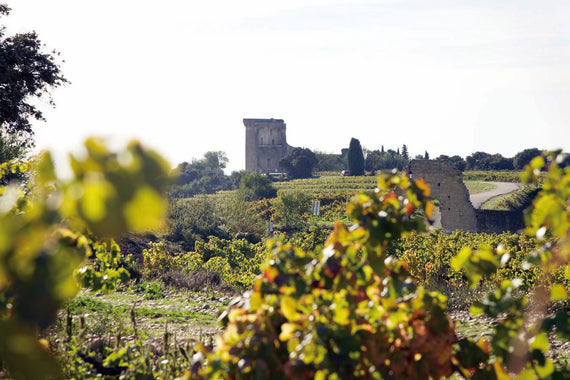 Weingut Pignan
