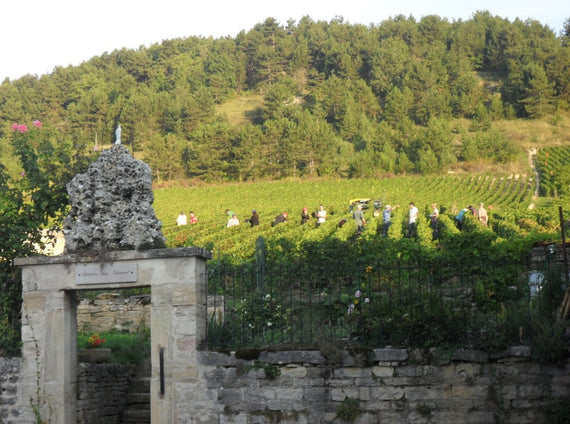 Weingut Prudhon
