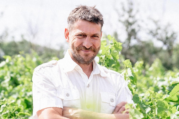 Weingut Ricardelle de Lautrec