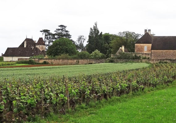 Domaine Roy & Söhne