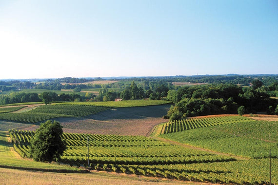 Domaine San de Guilhem