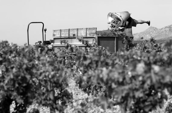 Weingut Singla