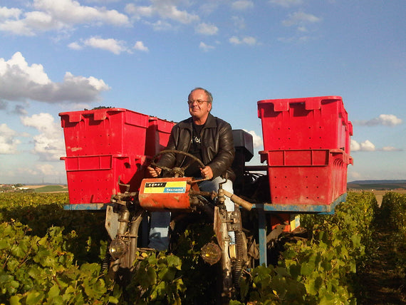 Weingut Thierry Pasqua