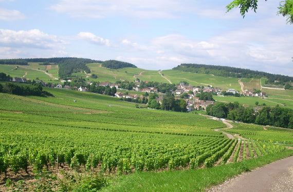 Domaine Trémeaux