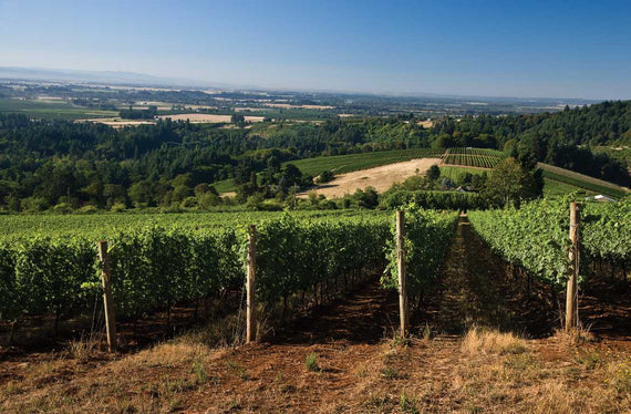 Erath Weingut