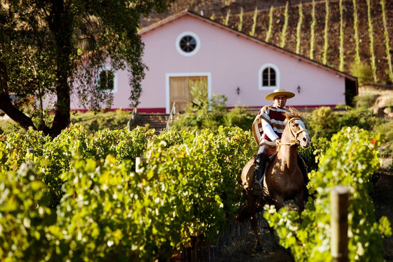 Hacienda Araucano