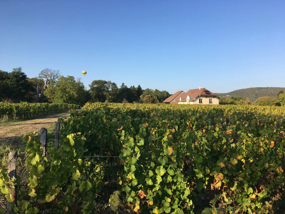 Le Clos des Grives