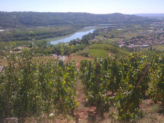 Die Erdlinge