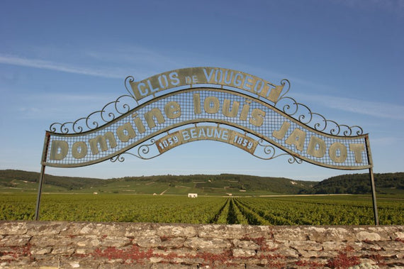 Louis Jadot