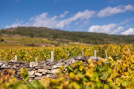 Maison Chartron et Trébuchet