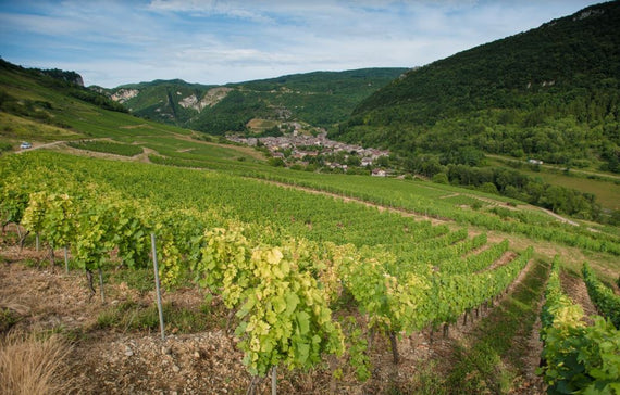 Maison Lingot-Martin