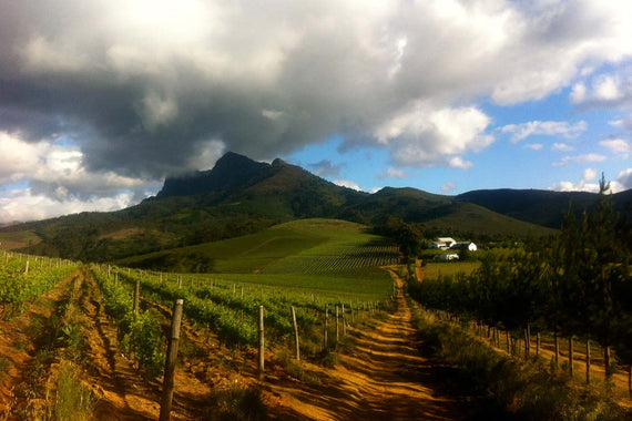 Marianne Weingut