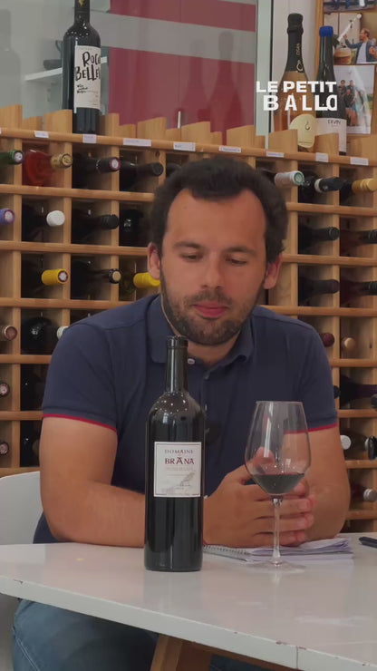 Domaine Brana - Rot - AOP Irouléguy - Rot - 2020