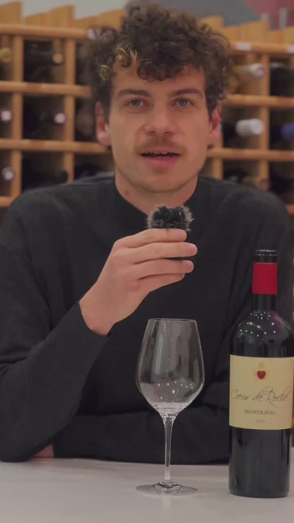 Château Moulin Caresse - Coeur de Roche - AOP Montravel - Rot - 2019