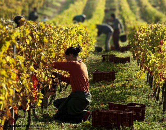 Priorat La Chaume