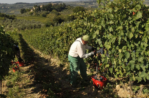 Progetti Agricoli