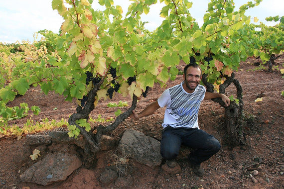 Projekt Garnachas