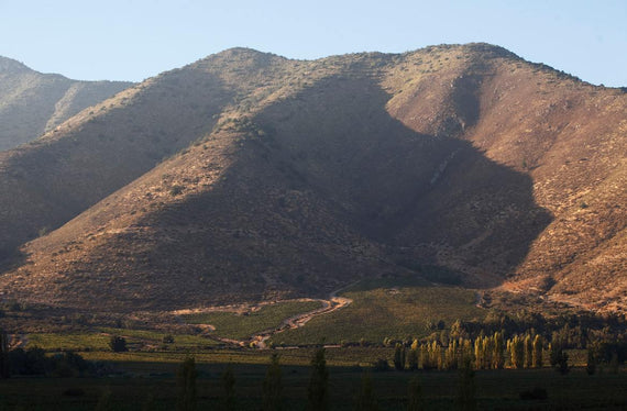 Santa Rita