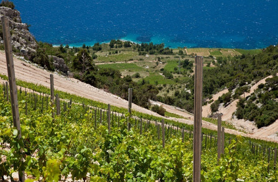 Stina Weingut