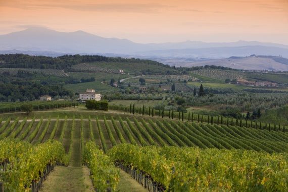Weingut Tignanello