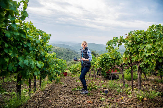 Vignoble Les Fusionels